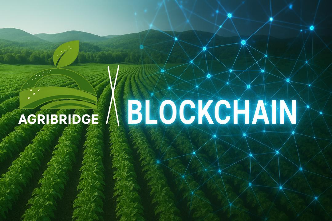 AGRIBRIDGE Slide 2